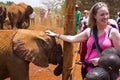 Baby Elephant Orphanage