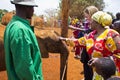 Baby Elephant Orphanage Royalty Free Stock Photo