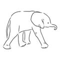 Baby elephant in outline style isolated on white background, vector illustration Royalty Free Stock Photo