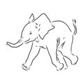 Baby elephant in outline style isolated on white background, vector illustration Royalty Free Stock Photo