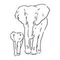 Baby elephant in outline style isolated on white background, vector illustration Royalty Free Stock Photo