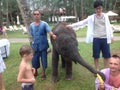 Baby elephant trunk cute people