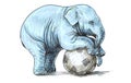 Baby elephant playing football, sketch and free hand draw
