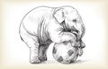 Baby elephant playing football, sketch and free hand draw