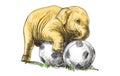 Baby elephant playing football, sketch and free hand draw