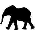 Baby elephant silhouette isolated on white