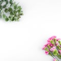 Baby eucalyptus leaves and pink carnation flowers