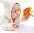 Baby examining daisy Royalty Free Stock Photo