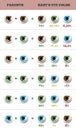 Baby eye color predictor. Likelihood of eyes color of the baby. Appearance of an inherited trait.