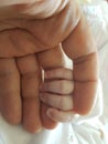 Baby and father hand hands holding each other Royalty Free Stock Photo