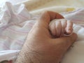 Baby and father hand hands holding each other Royalty Free Stock Photo