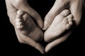 Mother holds newborn baby feet in a heart Royalty Free Stock Photo