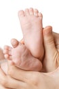 Baby feet Royalty Free Stock Photo