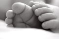 Baby feet Royalty Free Stock Photo