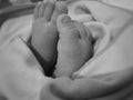 Baby feet covered in warm blanket tiny infant
