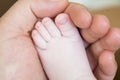 Baby feet in father hands - hearth shape Royalty Free Stock Photo