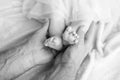 Baby feet in father hands. Tiny newborn baby`s feet on male hands closeup. Dad and his child. Happy Family concept. Beautiful Royalty Free Stock Photo