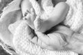 Baby feet in father hands. Tiny newborn baby`s feet on male hands closeup. Dad and his child. Happy Family concept. Beautiful Royalty Free Stock Photo