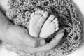 Baby feet in father hands. Tiny Newborn Baby`s feet on male shaped hands closeup. Dad and his Child. Happy Family concept Royalty Free Stock Photo
