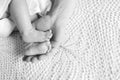 Baby feet in father hands. Tiny Newborn Baby`s feet on male shaped hands closeup. Dad and his Child. Happy Family concept Royalty Free Stock Photo