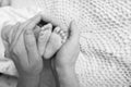 Baby feet in father hands. Tiny Newborn Baby`s feet on male shaped hands closeup. Dad and his Child. Happy Family concept Royalty Free Stock Photo