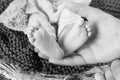 Baby feet in father hands. Tiny newborn baby`s feet on male hands closeup. Dad and his child. Happy Family concept. Beautiful Royalty Free Stock Photo