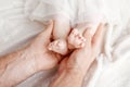 Baby feet in father hands. Tiny newborn baby`s feet on male hand Royalty Free Stock Photo