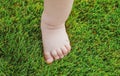 Baby feet on the green grass. Feet of little kid staying on green grass outdoors. Kids bare legs standing on grass Royalty Free Stock Photo