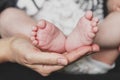 Baby feet in hand Royalty Free Stock Photo