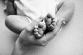 Baby feet in the hands of mother, father, older brother or sister, family. Royalty Free Stock Photo