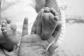 Baby feet in the hands of mother, father, older brother or sister, family. Royalty Free Stock Photo