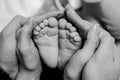 Baby feet in hands of parents of mom and dad. Love is continuation black and white concept