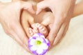 Baby feet in mom's and dad's hands with a flower and a blurred b