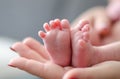 Baby feet in the mother hands. Family love concept. Newborn beauty. Royalty Free Stock Photo