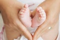 Baby feet in mother hands - hearth shape Royalty Free Stock Photo