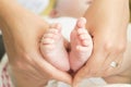 Baby feet in mother hands. Mom and her Child. Happy Family concept. Beautiful conceptual image of Maternity Royalty Free Stock Photo