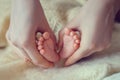 Baby feet in mother hands. Mom and her Child. Happy Family concept. Beautiful conceptual image of Maternity Royalty Free Stock Photo