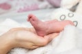 Baby feet in mother hands. Mom and her Child. Happy Family concept. Beautiful conceptual image of Maternity Royalty Free Stock Photo