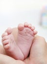 Baby Feet in Mother Hands. New Born Kid Foot Royalty Free Stock Photo