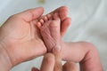 Baby Feet In Mother`s Hand Royalty Free Stock Photo