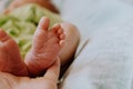 Baby feet in mother`s hand. Royalty Free Stock Photo