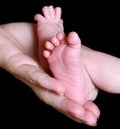 baby feet in mothers hand