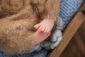 Baby feet of a newborn baby in brown pants on a blue rug Royalty Free Stock Photo