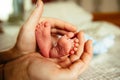Baby feet in parent hands Royalty Free Stock Photo