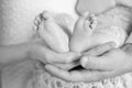 Baby feet in parents hands. Tiny Newborn Baby`s feet on parents shaped hands closeup. Parents and they Child. Happy Family concep Royalty Free Stock Photo