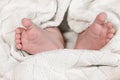 Baby feet on soft white coverlet. Adorable Toes. Close-up. Tiny bare feet of a little newborn baby girl or boy wrapped Royalty Free Stock Photo