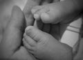 Baby feet and tiny fingers in moms hand