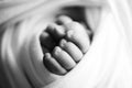 Baby feet. The tiny foot of a newborn in soft selective focus. Black and white image of the soles of the feet. Royalty Free Stock Photo