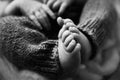 Baby feet. The tiny foot of a newborn in soft selective focus. Black and white image of the soles of the feet. Royalty Free Stock Photo