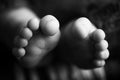 Baby feet. The tiny foot of a newborn in soft selective focus. Black and white image of the soles of the feet. Royalty Free Stock Photo